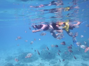 snorkelling_img002